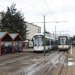 7305 'OPLEIDING' & 7245 lijn 3 halte 'HALEWIJN' 20150901