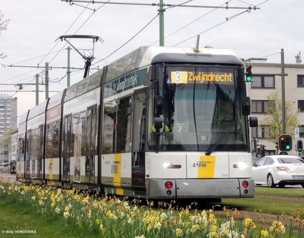 7247 lijn 3 nabij Halte HALEWIJN 20170421 13u36