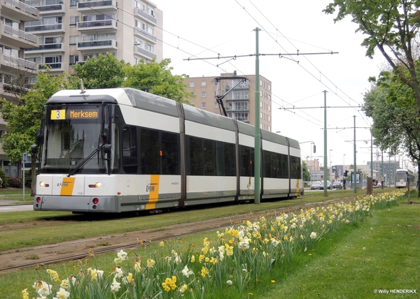 7281 lijn 3 nabij Halte HALEWIJN 20170421 13u39