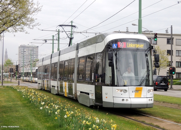 7321 lijn 9 nabij Halte HALEWIJN 20170421 13u43