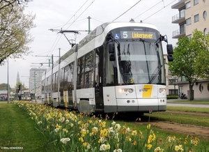 7329 lijn 5 nabij Halte HALEWIJN 20170421 13u39