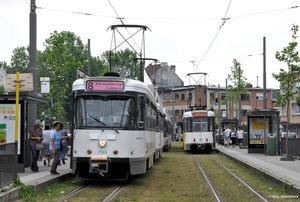 7165-7111 & 7106 lijn8 MUGGENBERG 20170603