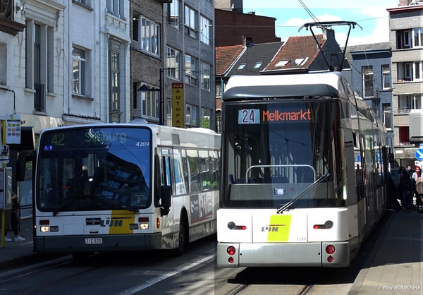 72459 lijn24 & 4209 lijn42 halte STENENBRUG 20180502 13u03 (2)