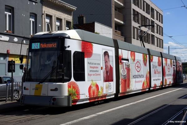 7203 lijn24 'HOOGSTRATEN' Halte STENENBRUG 20180502 13u29 (1)