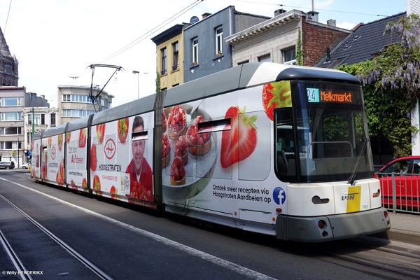 7203 lijn24 'HOOGSTRATEN' Halte STENENBRUG 20180502 13u29 (5)