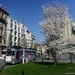 6205 lijn12 ex. MIVG KONINGIN ASTRIDPLEIN 20190329_1