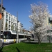 7227 lijn12 KONINGIN ASTRIDPLEIN 20190329