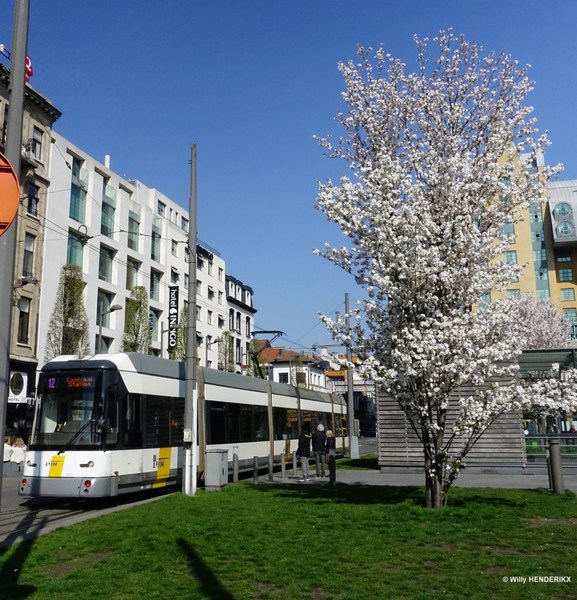 7227 lijn12 KONINGIN ASTRIDPLEIN 20190329