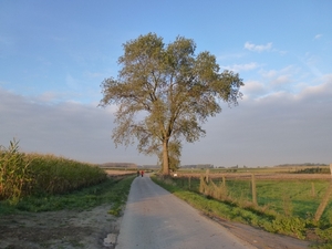 2012-10-11 Sint-Lievens-Houtem 003