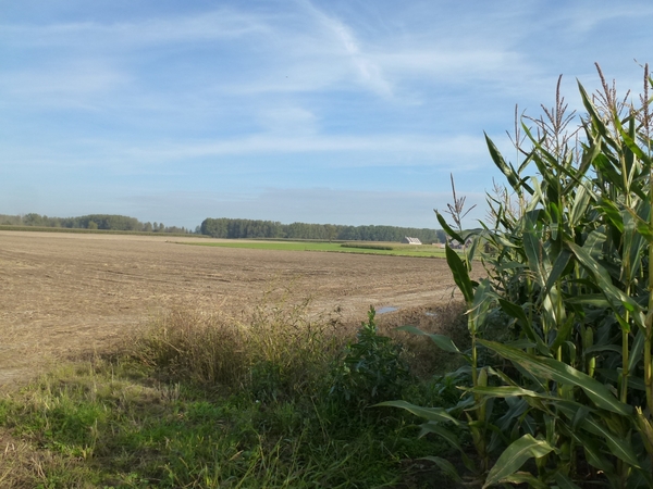 2012-10-11 Sint-Lievens-Houtem 015