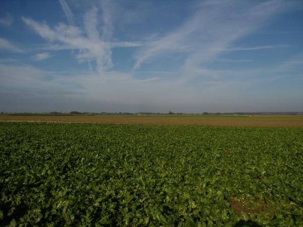 2012-10-11 KKT verkenning Waals Brabant 015