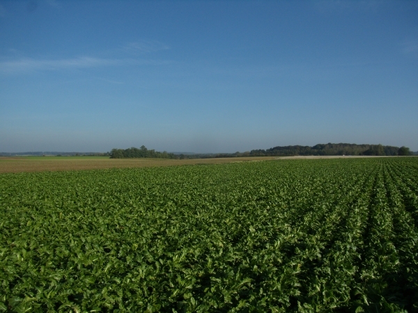 2012-10-11 KKT verkenning Waals Brabant 016