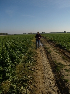 2012-10-11 KKT verkenning Waals Brabant 017