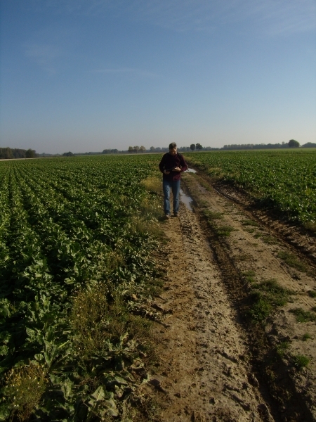 2012-10-11 KKT verkenning Waals Brabant 017