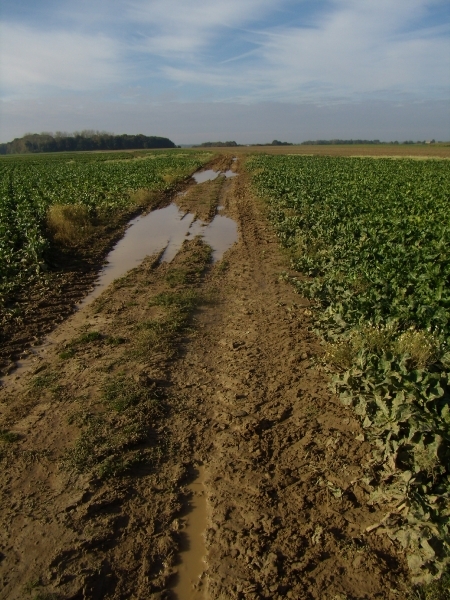 2012-10-11 KKT verkenning Waals Brabant 018