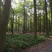 2012-10-11 KKT verkenning Waals Brabant 021