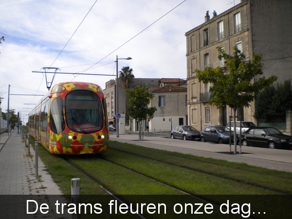 DSCN4600