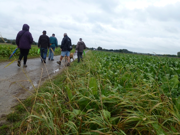 2012-10-13 Liedekerke(Verkenning) 007