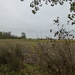 2012-10-13 Waasmunster 013