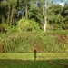 2012-10-14 Duffel 011