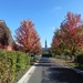 2012-10-14 Duffel 024