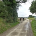 2012-10-14 Sterrebeek 005