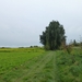 2012-10-14 Sterrebeek 015