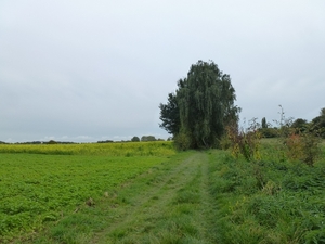 2012-10-14 Sterrebeek 015