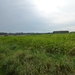 2012-10-14 Sterrebeek 016