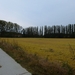 2012-10-14 Sterrebeek 024