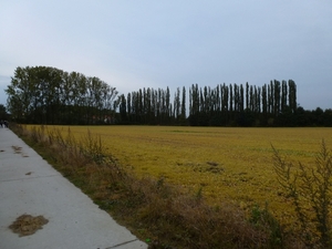 2012-10-14 Sterrebeek 024