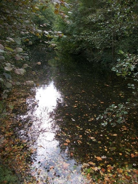 088-Kasteelpark-Ter Meeren-Sterrebeek