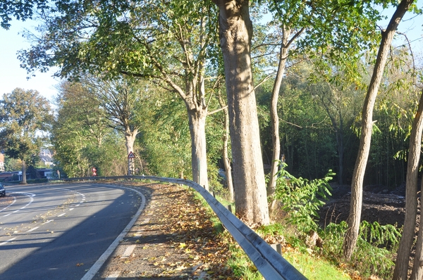 001  HERFST PIXLES....!