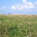 200809sommereis 023