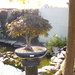 PICT0250