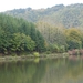 Saarburg 2012 017