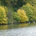 Saarburg 2012 030