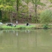 Saarburg 2012 038