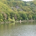 Saarburg 2012 045