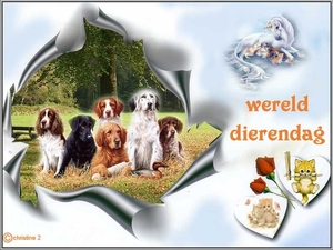 dierendag