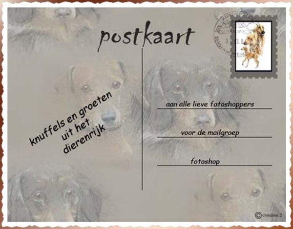 postkaart