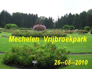 AM_Vrijbroek 001 (1)