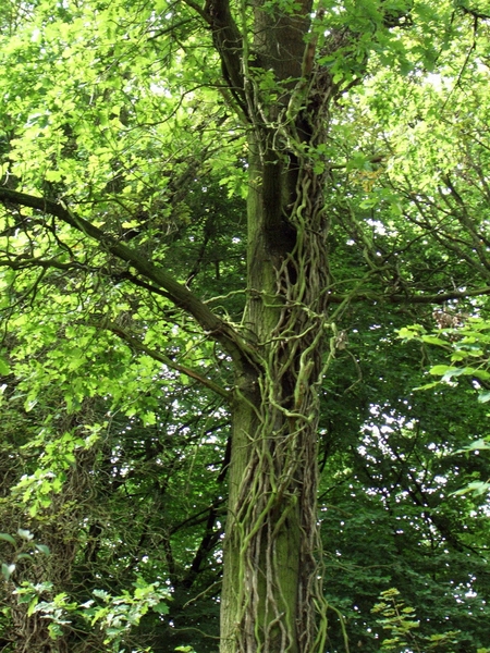 AM_Vrijbroek 001 (15)