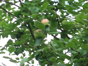 AM_Vrijbroek 001 (20)
