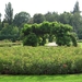AM_Vrijbroek 001 (55)