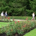 AM_Vrijbroek 001 (57)