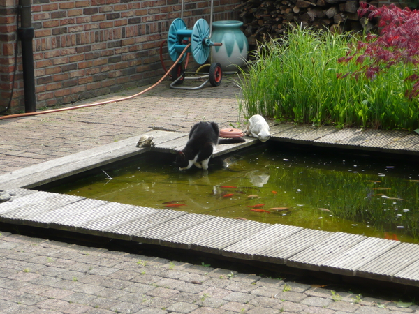20111104  009