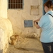 20050510  Tunis dorp  123