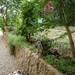 20050815 Beaujolais   225