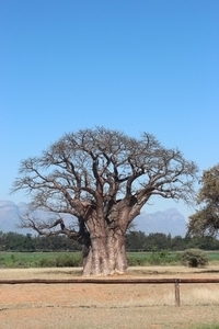 Onderweg